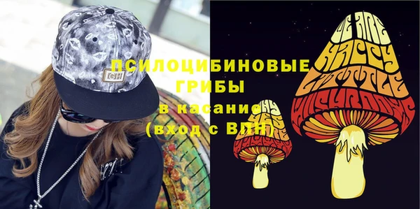 PSILOCYBIN Алексеевка