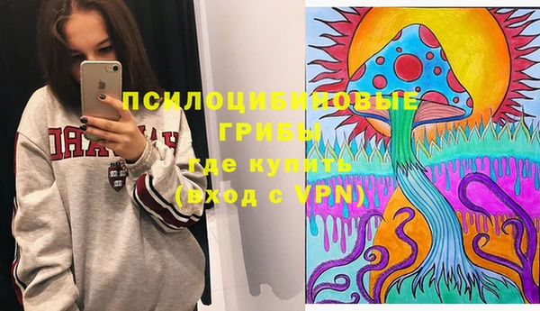героин Алексин