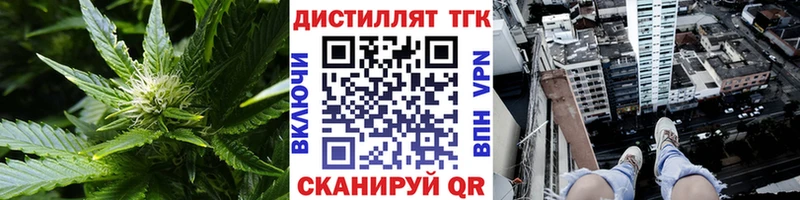 наркотики  Камышин  ТГК THC oil 