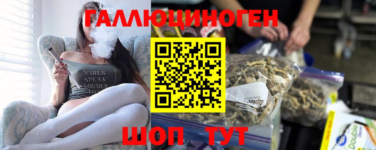 Камышин  где найти   Вход с VPN  Галлюциногенные грибы мухоморы 